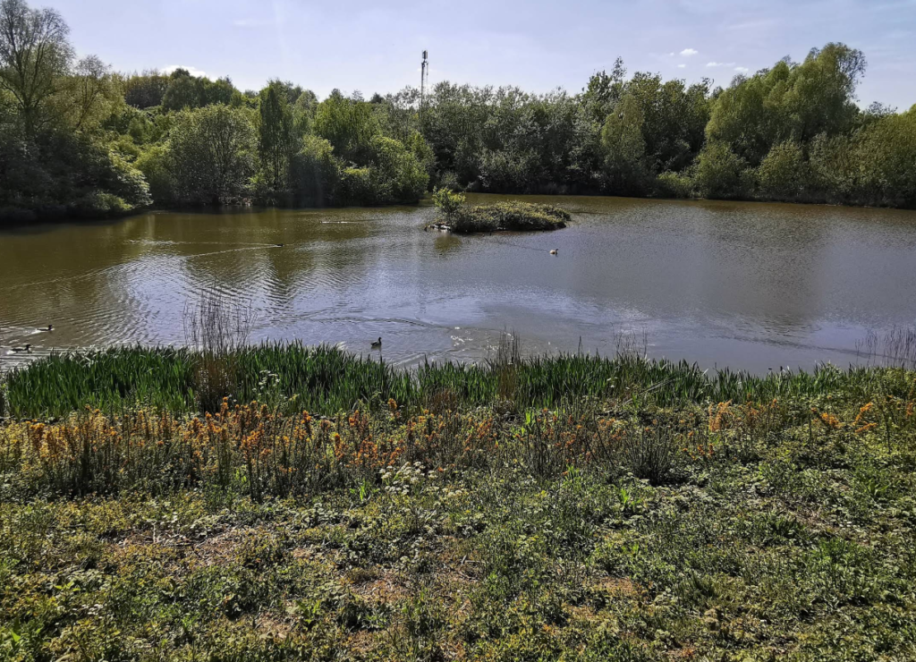 Sheepwash Nature Reserve
