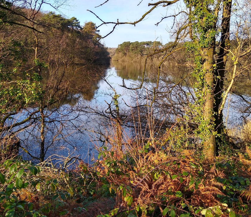Swiss Valley Reservoir