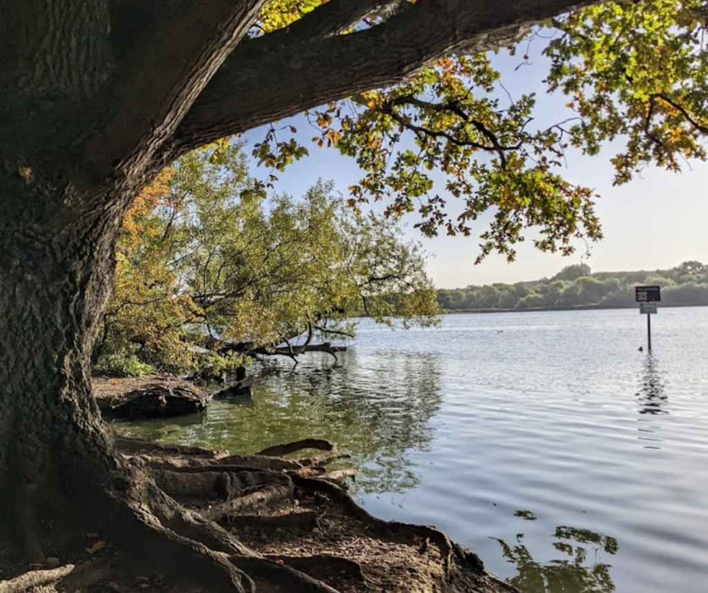 brent reservoir