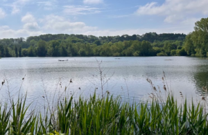 Colne Valley Regional Park
