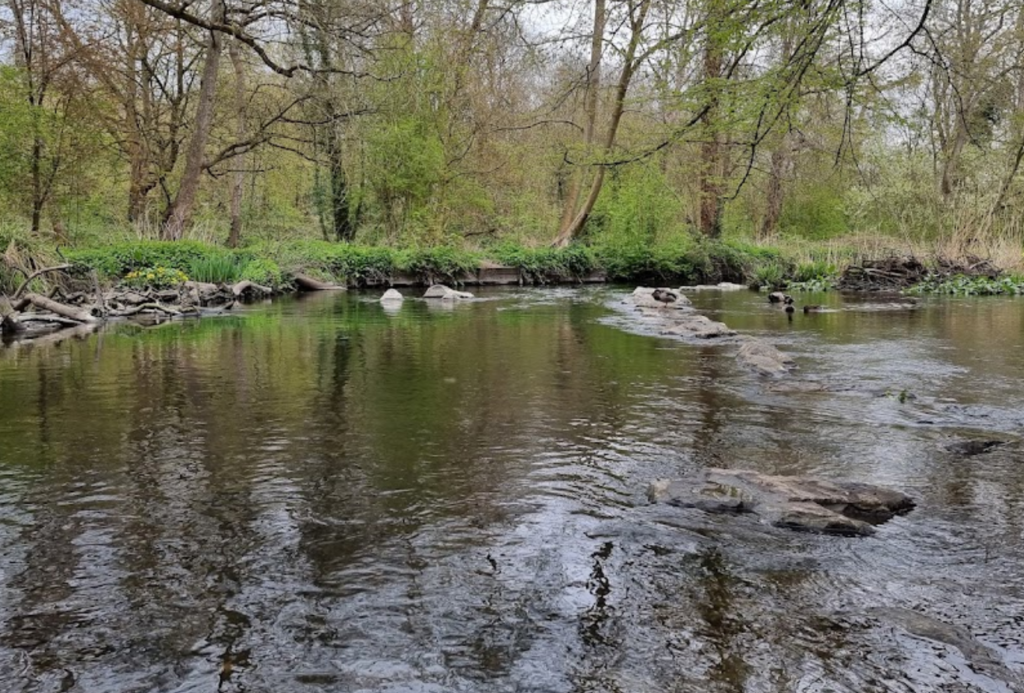 crane park