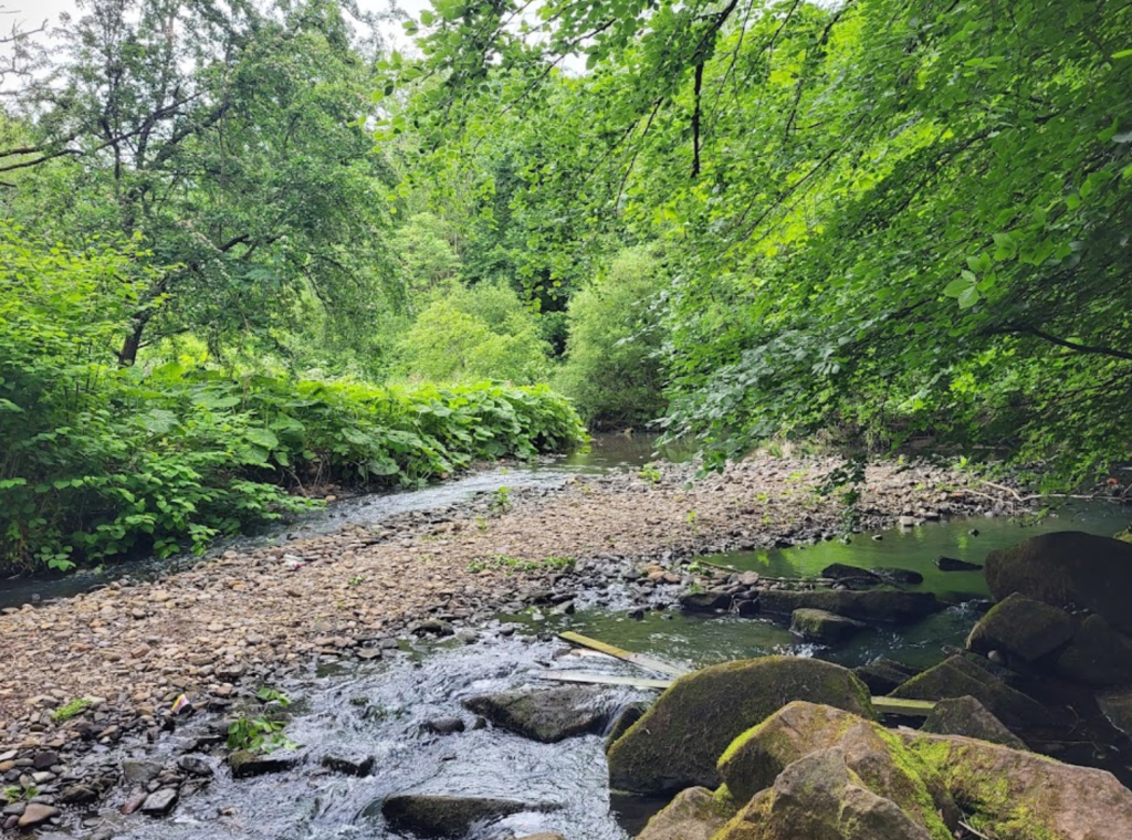 Daisy Nook Country Park