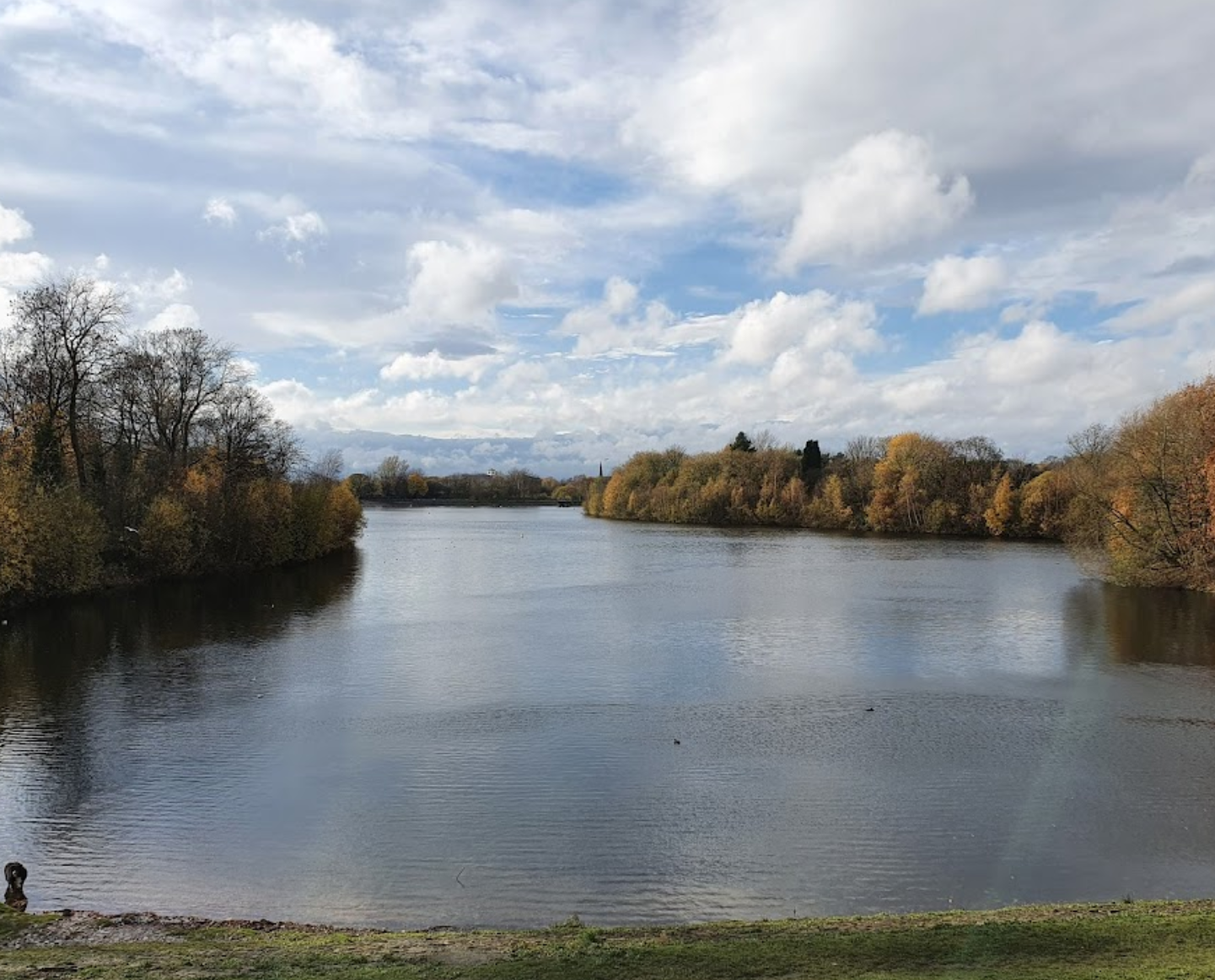 best dog swimming spots in manchester