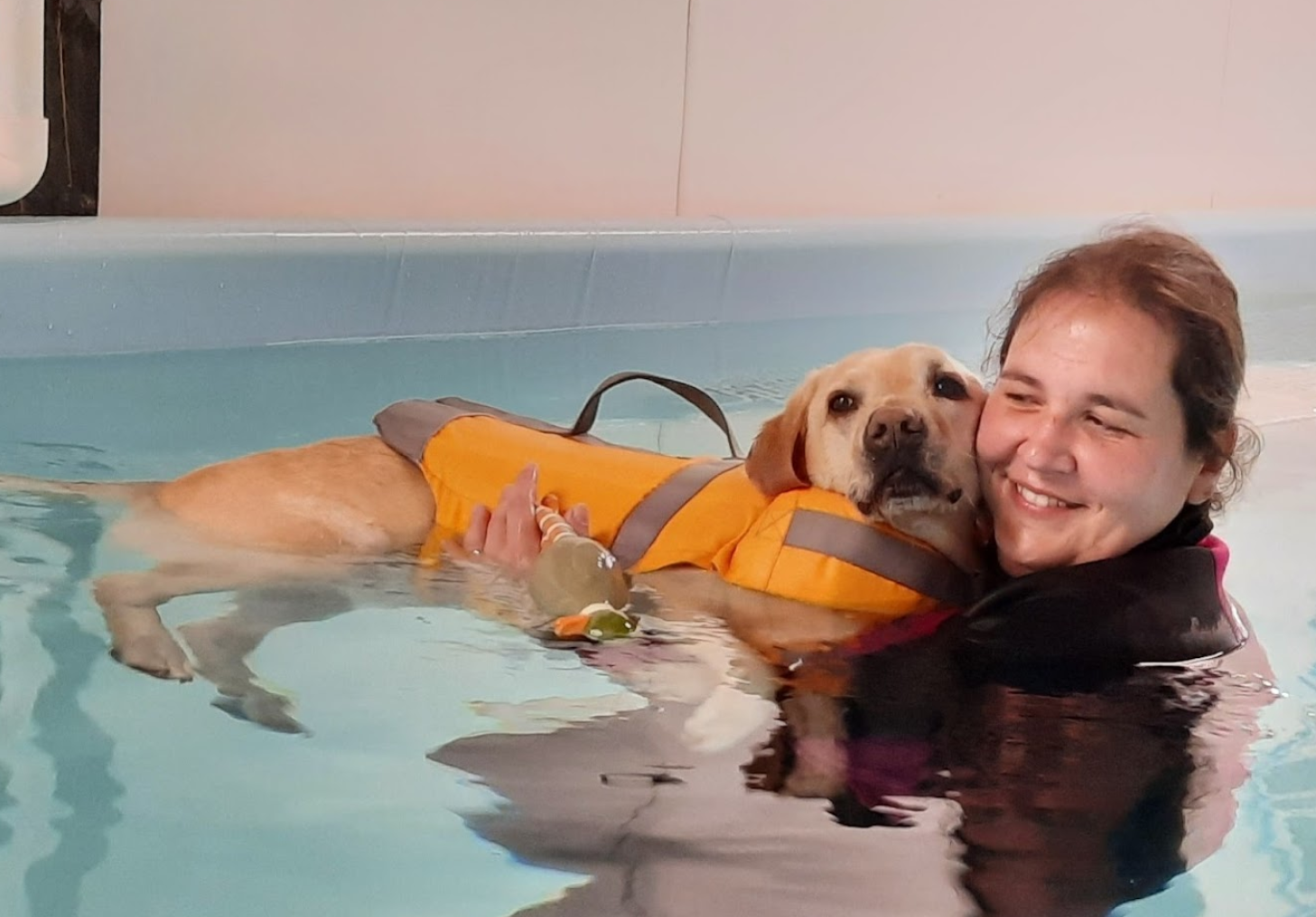 dog swimm