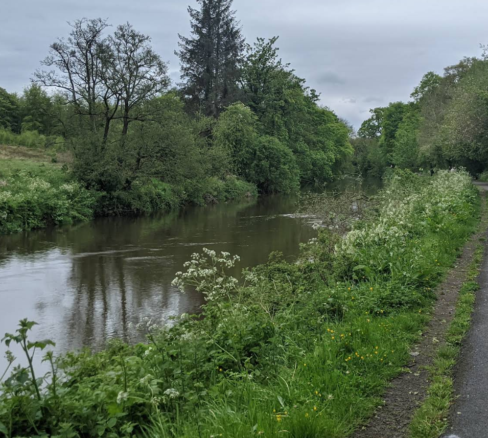 lagan tow