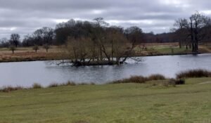 pen ponds