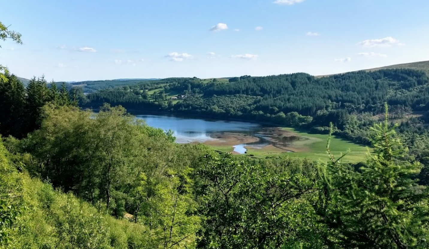 Dog Swimming Spots in Brecknockshire