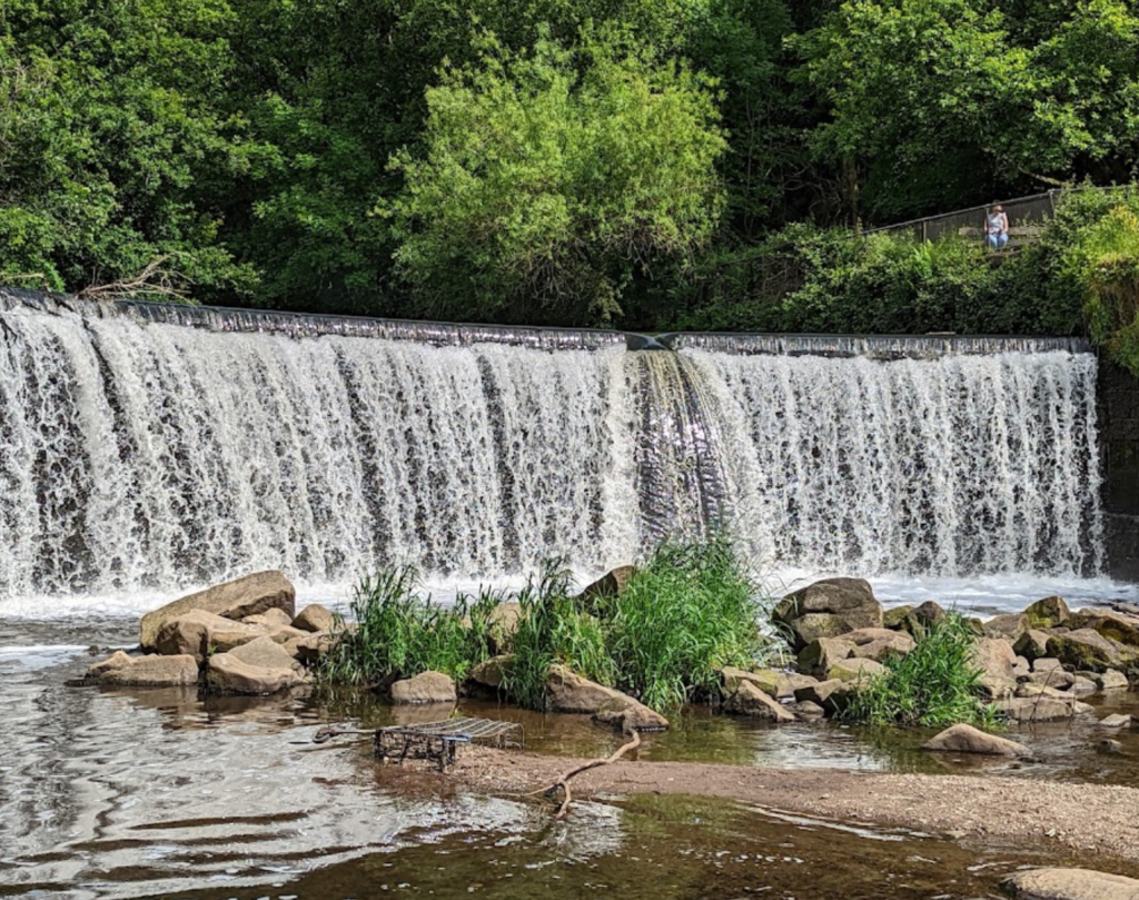 reddish vale park
