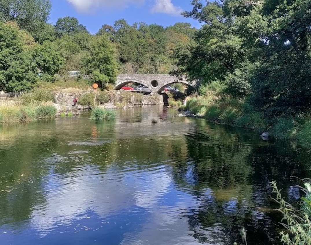 Dog Swimming Spots in Cardiganshire