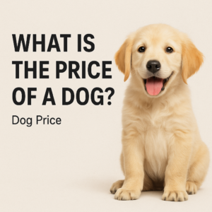 what is price of dog in the UK