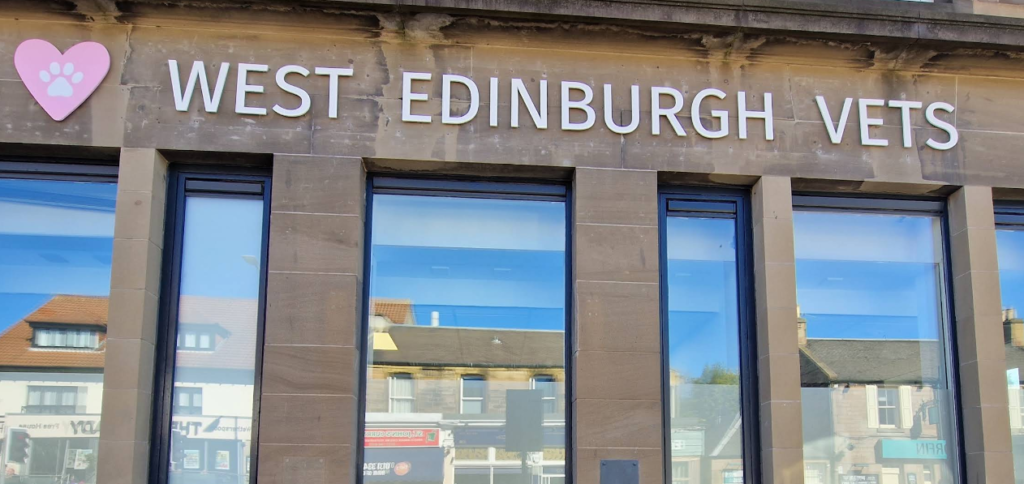 best vets in edinburgh
