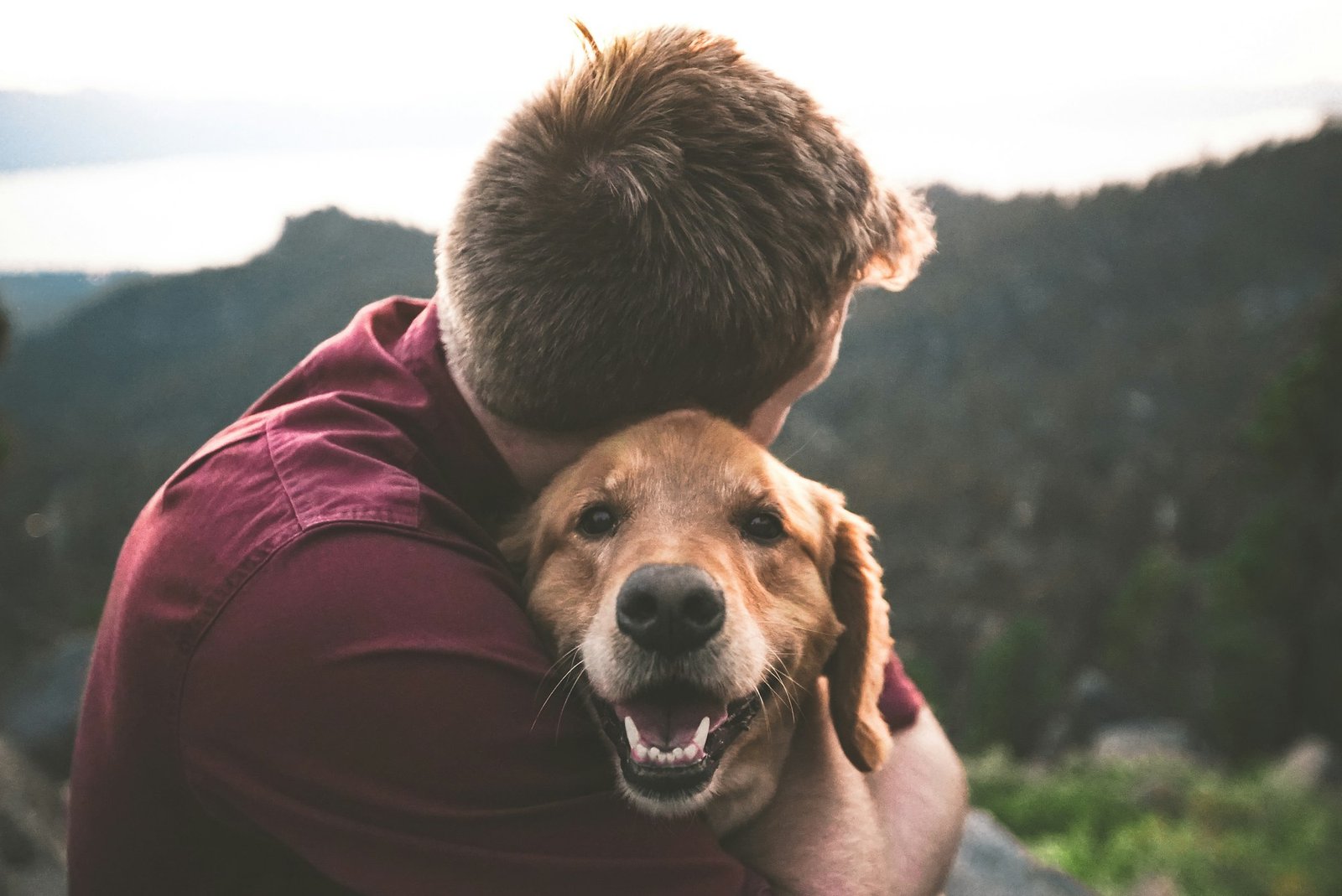 Owner hugging their dog after being reunited