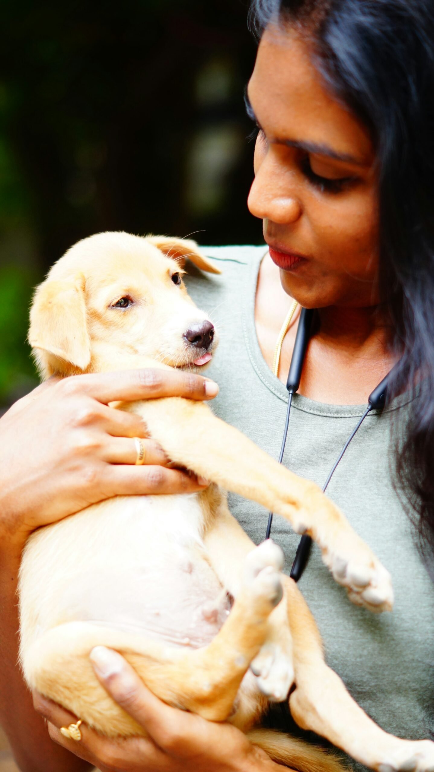 Owner holding a puppy safely while socialising before full vaccination cover