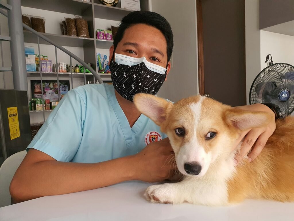 Dog owner sitting with their dog during a vet consultation