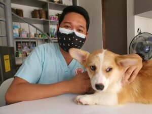 Dog owner sitting with their dog during a vet consultation