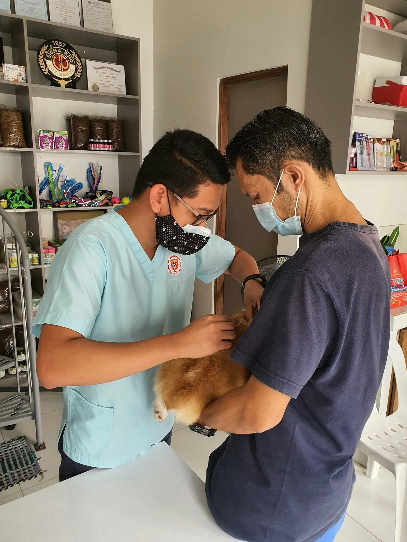 Vet consulting with a dog owner during an appointment