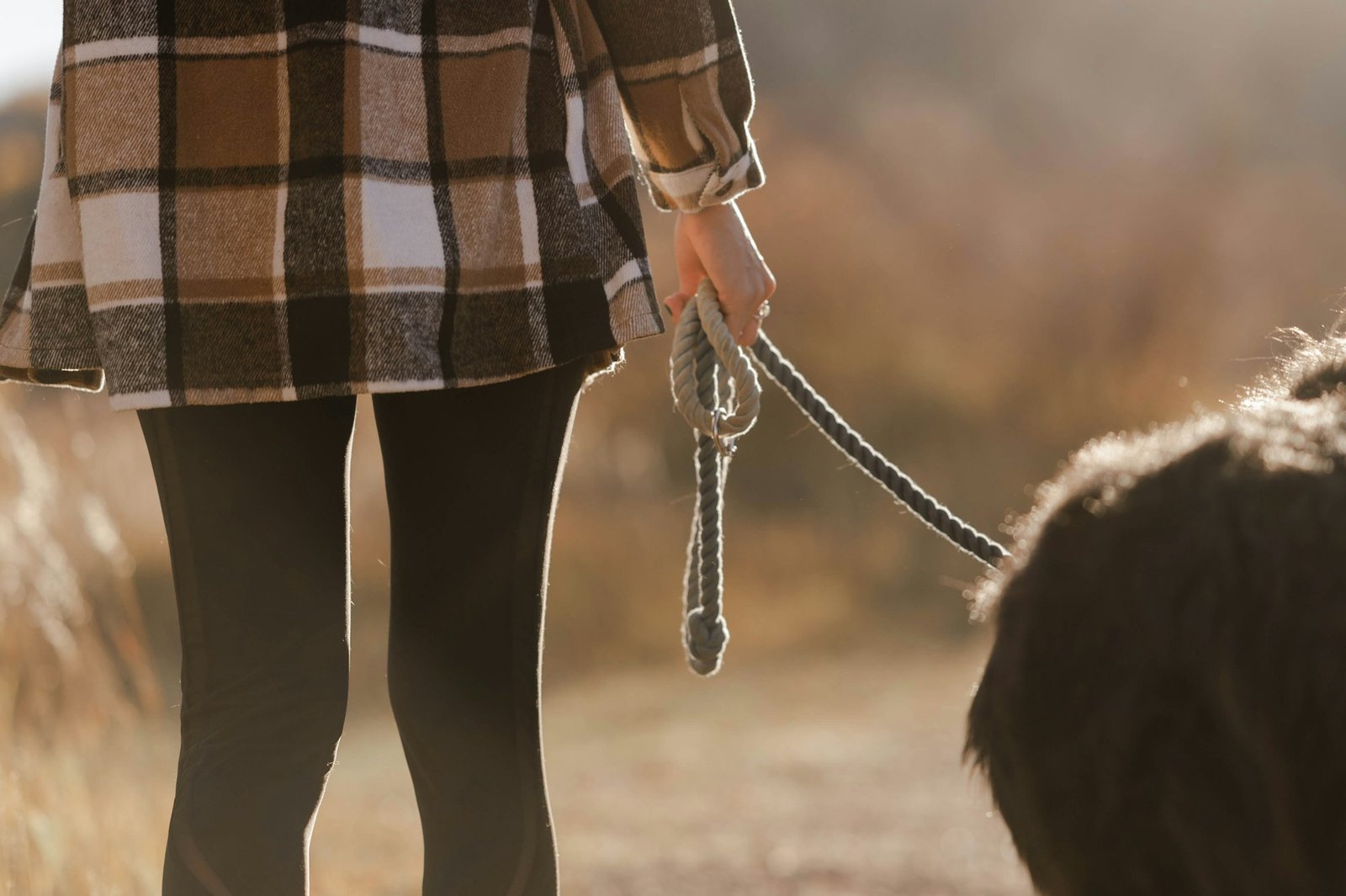 Woman walking a dog on a leash