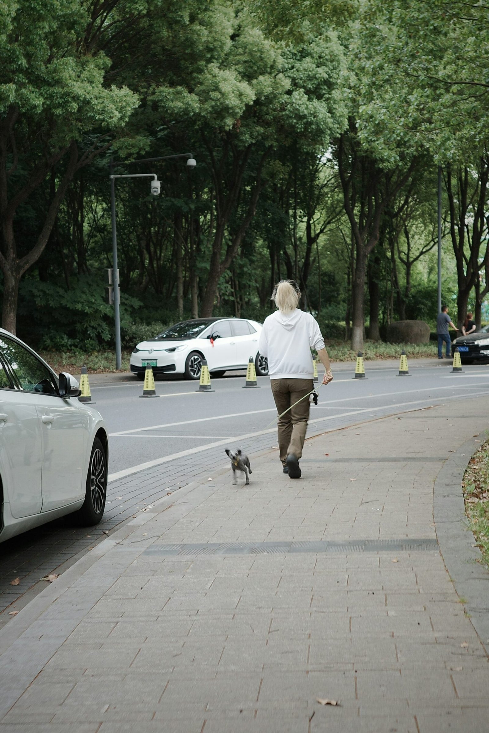 Woman walking a dog down a sidewalk