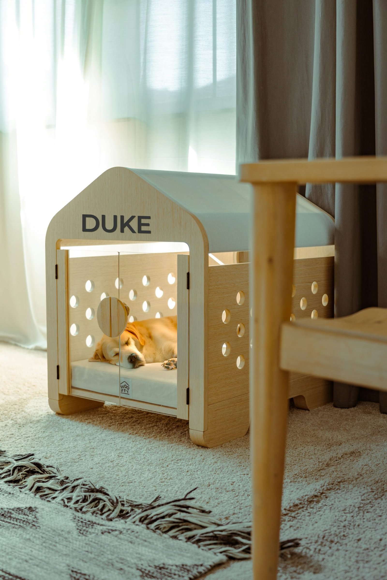 Dog resting comfortably in a modern wooden crate at home