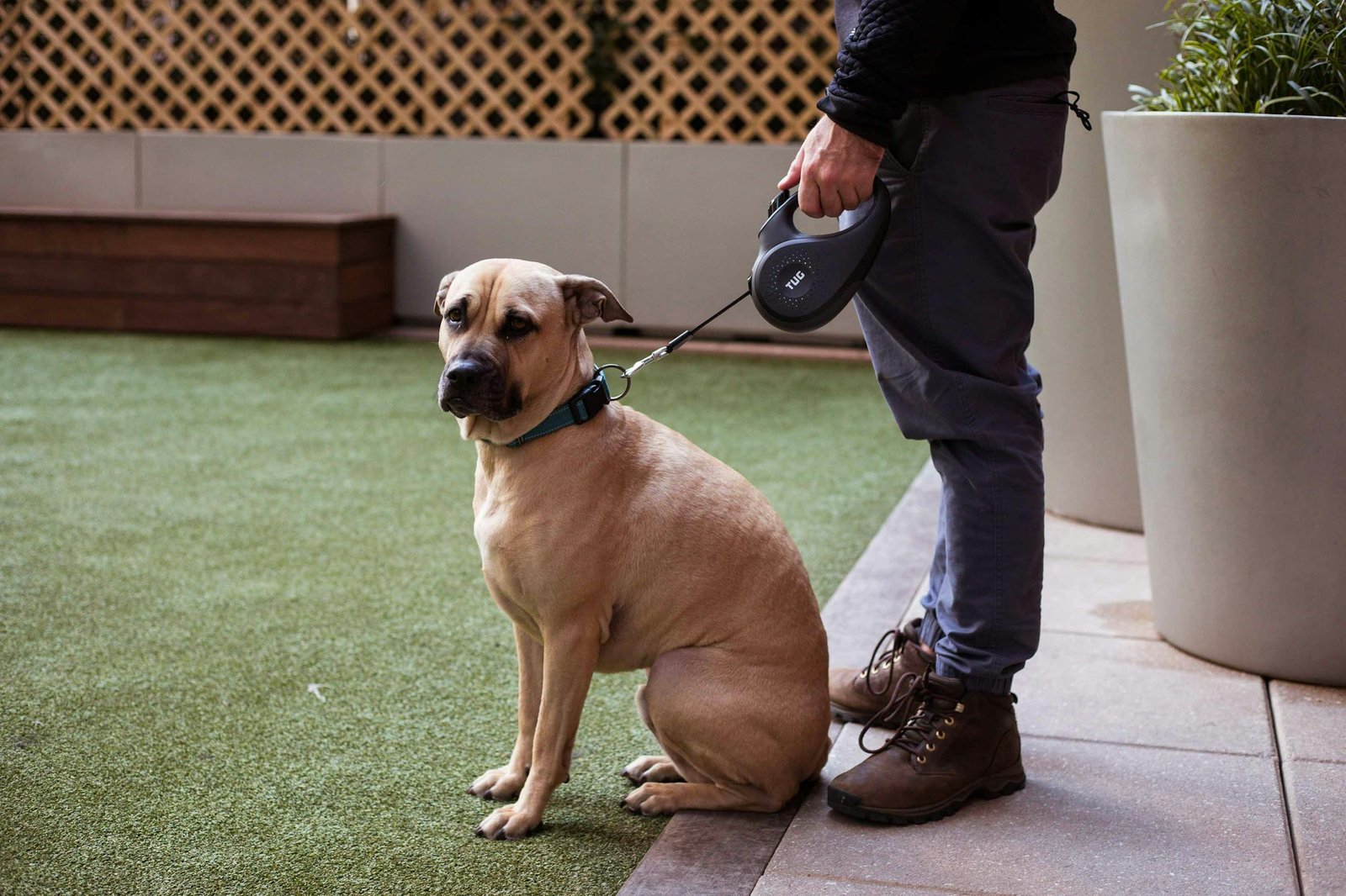 Dog sitting on a lead next to its owner