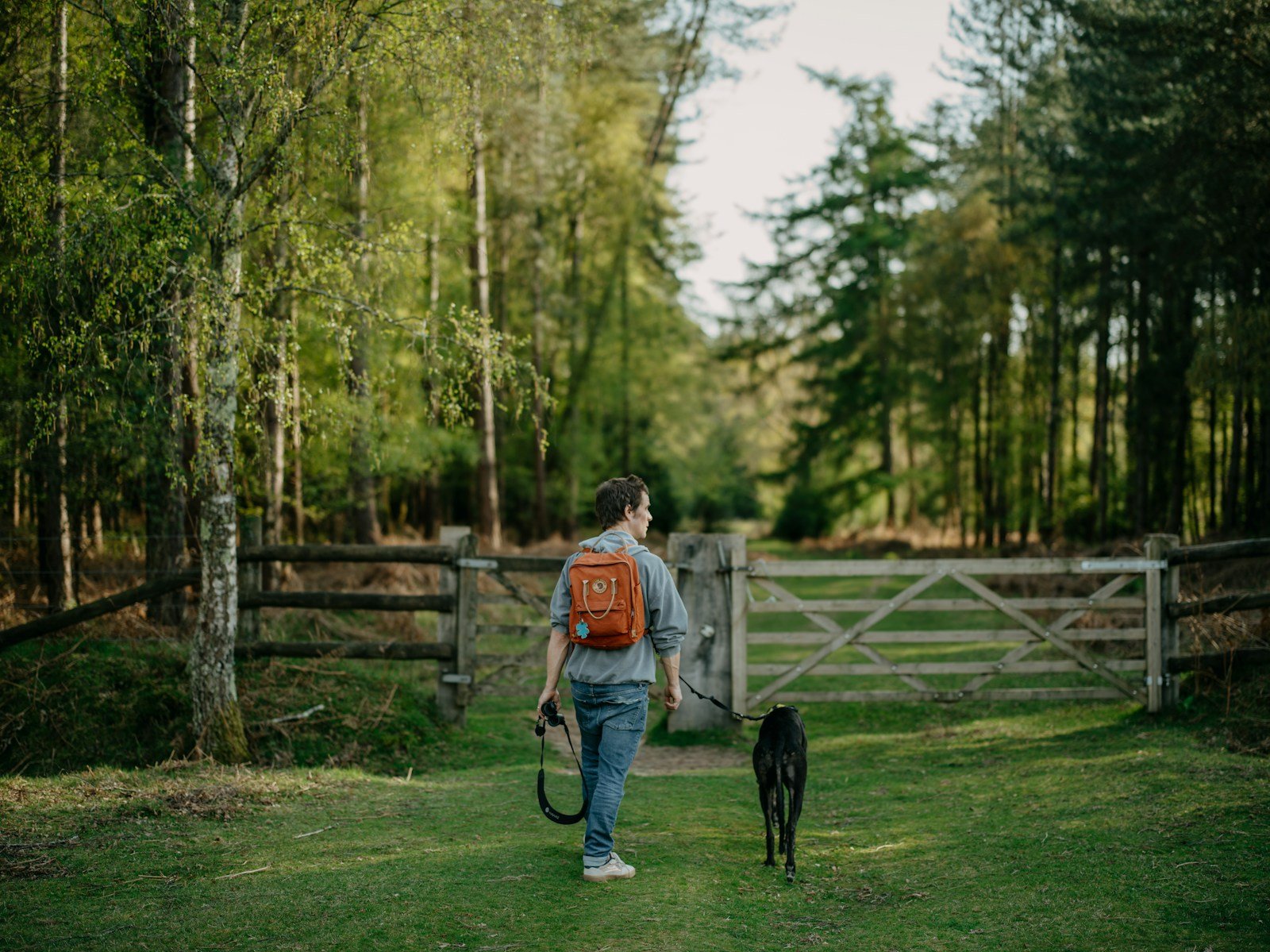 Person walking a dog on a lead