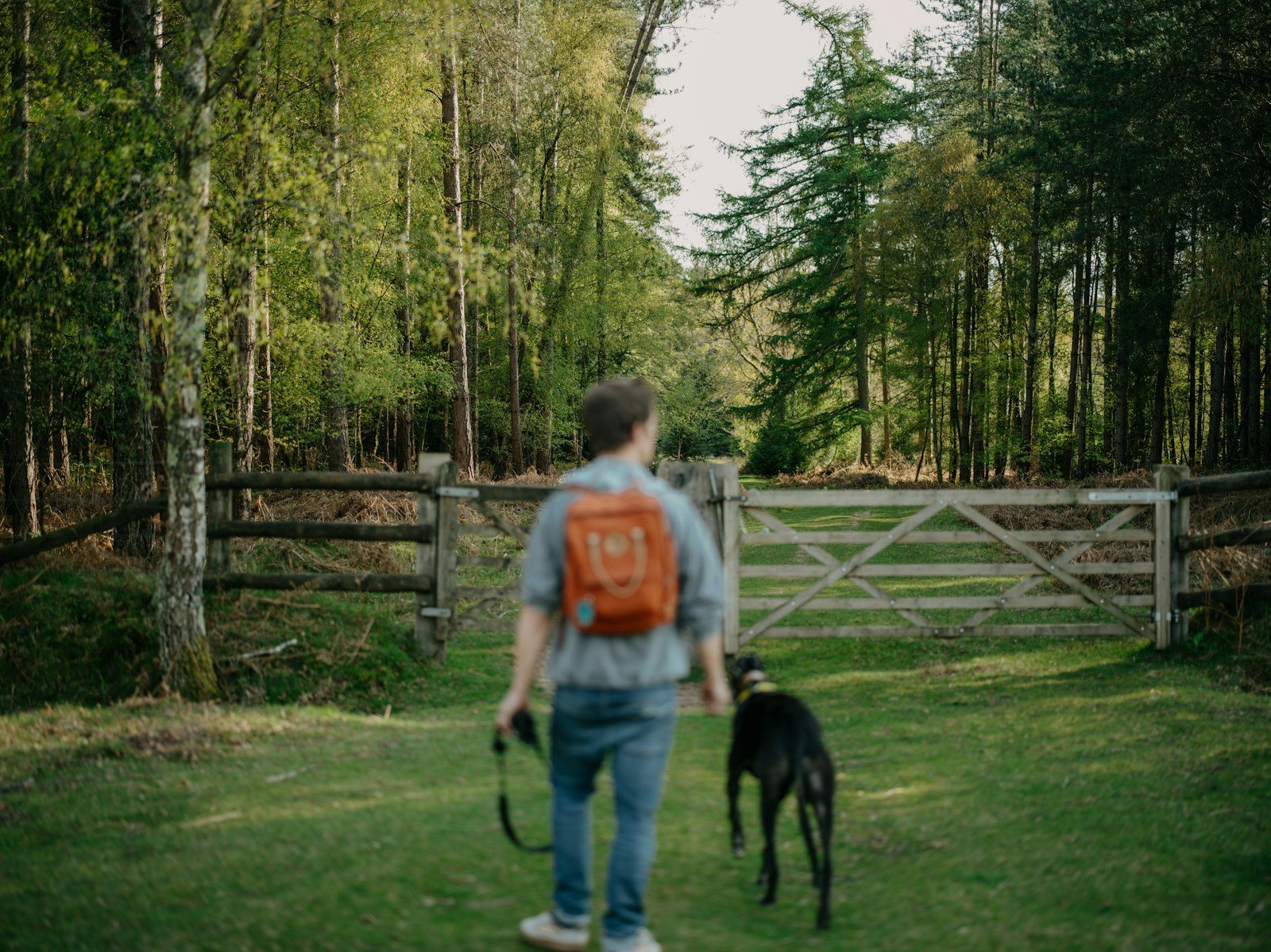 Man with a backpack walking a dog