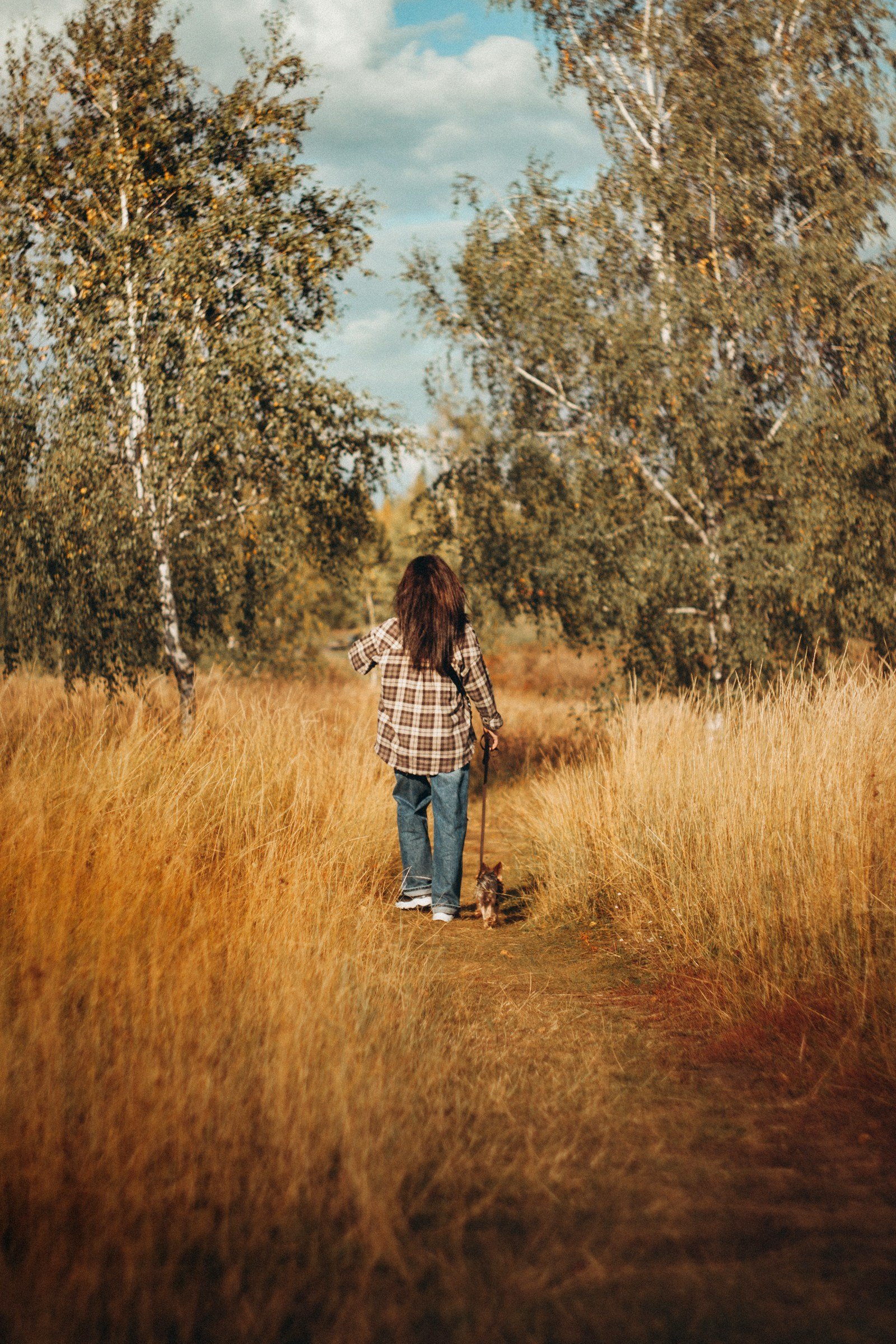 Person walking a small dog on a path