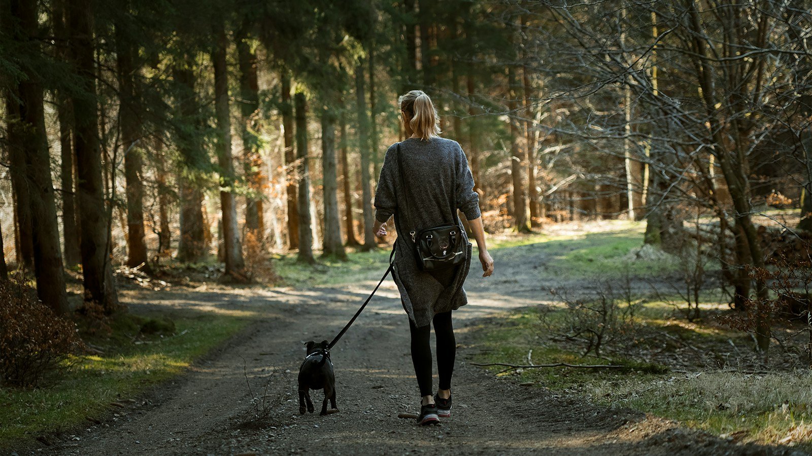 Woman walking a black Labrador on a path in Hampshire