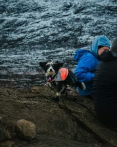Person sitting on a rock with a dog