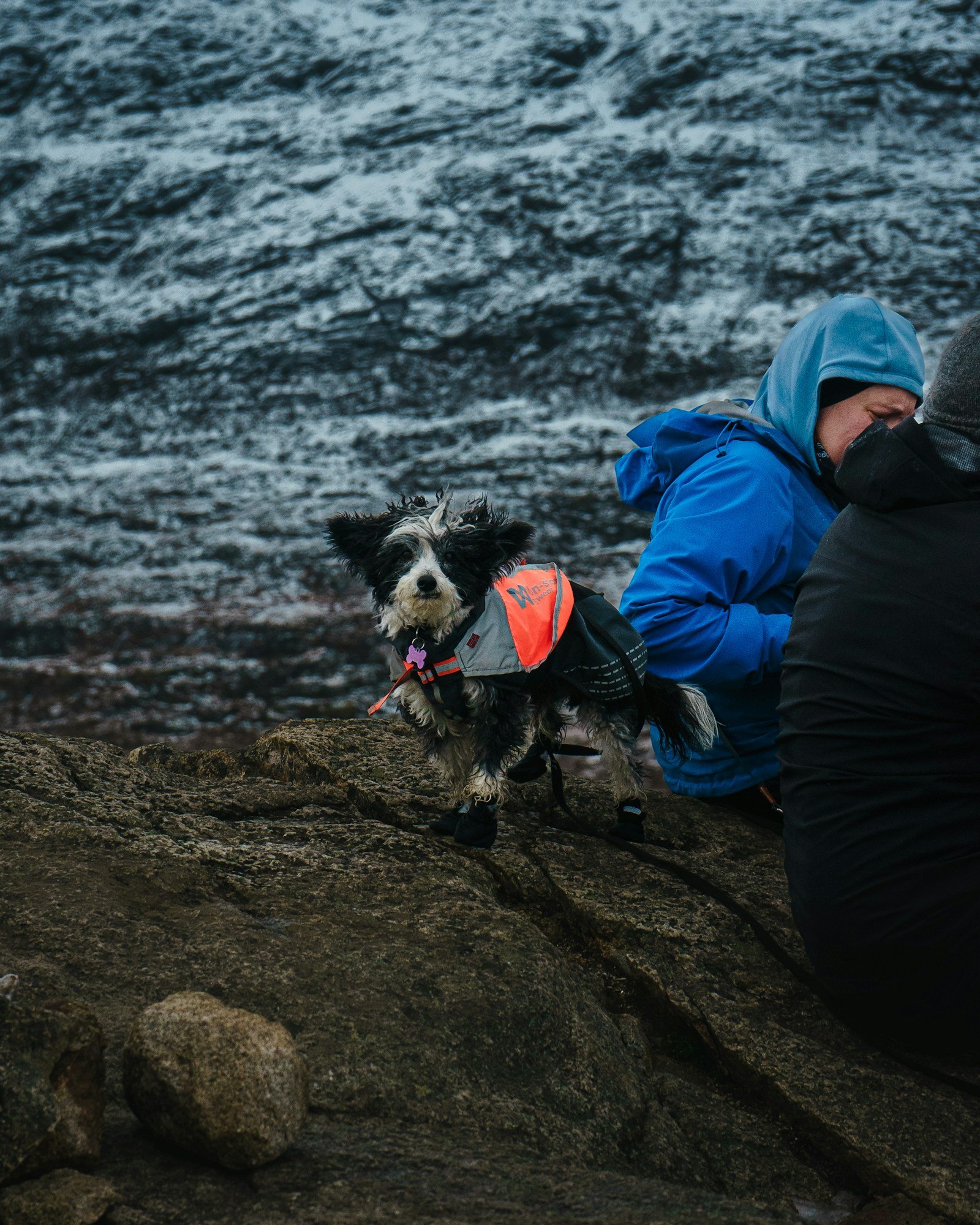 Person sitting on a rock with a dog