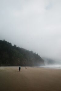 Person and dog walking on a foggy beach with trees