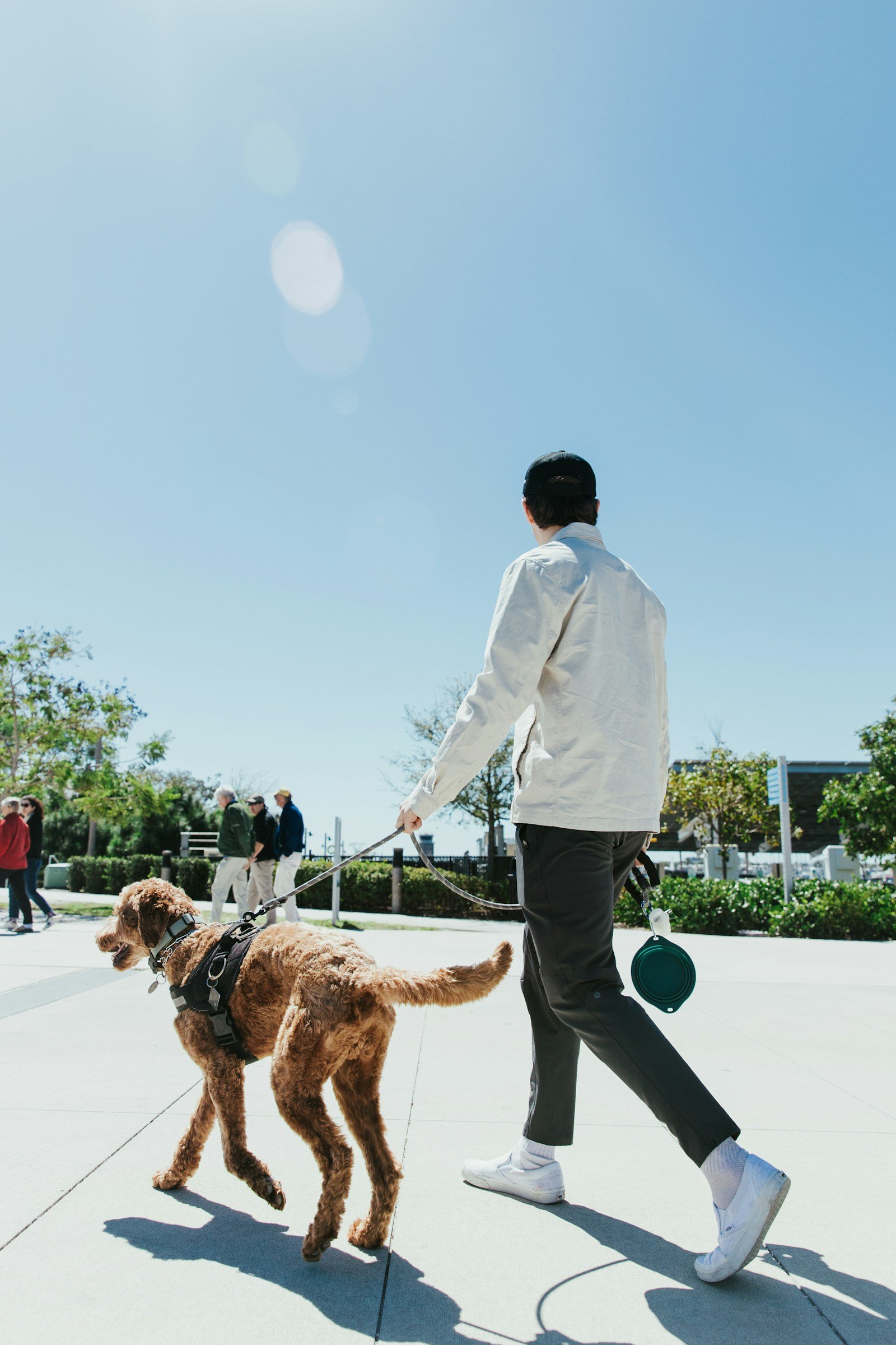 Man walking his dog on a lead in Devon