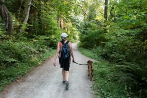 Two women walking a brown dog along a road in Kent