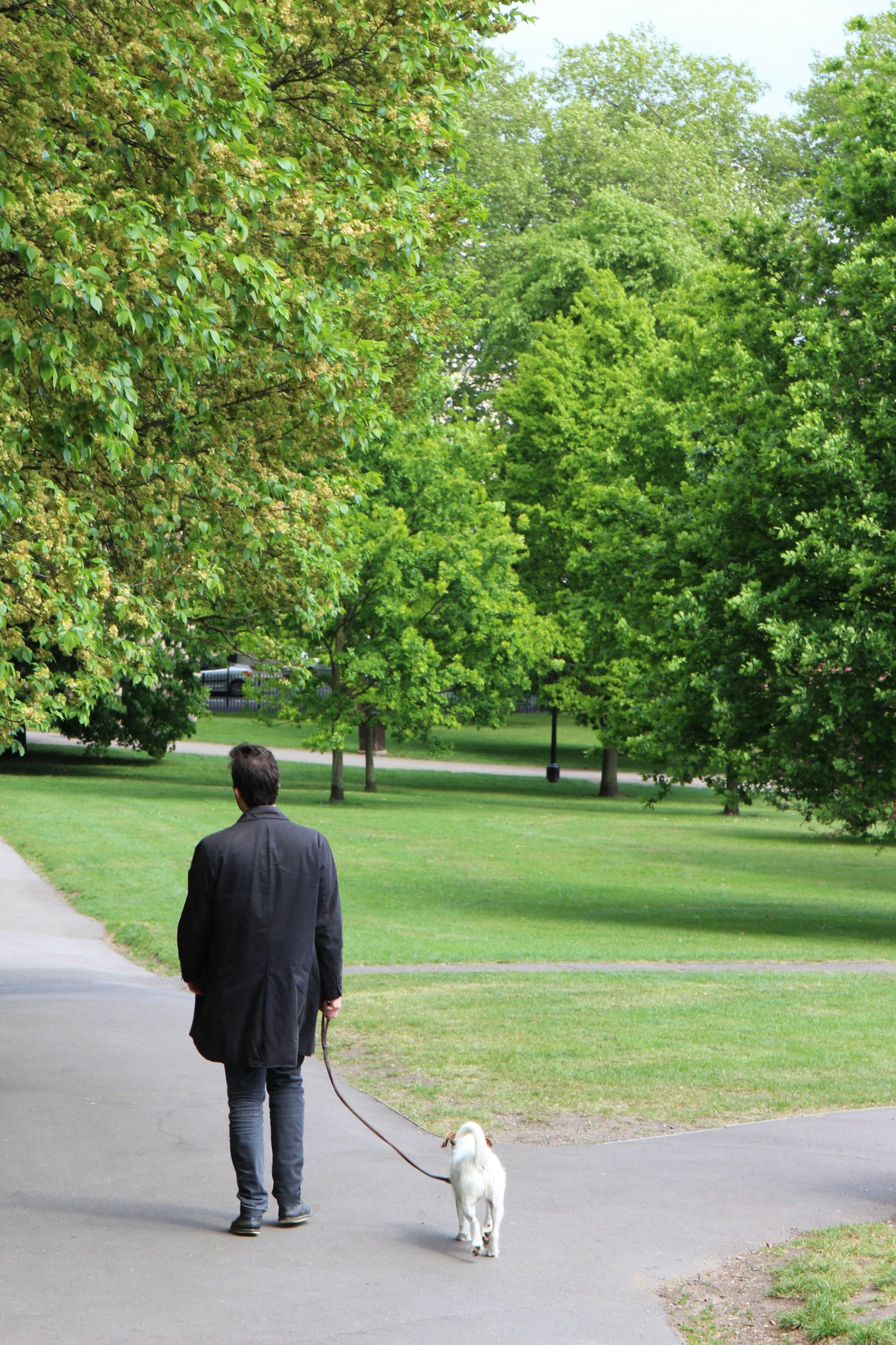 A man walking a dog on a lead along a park path, illustrating a professional dog walker in Manchester