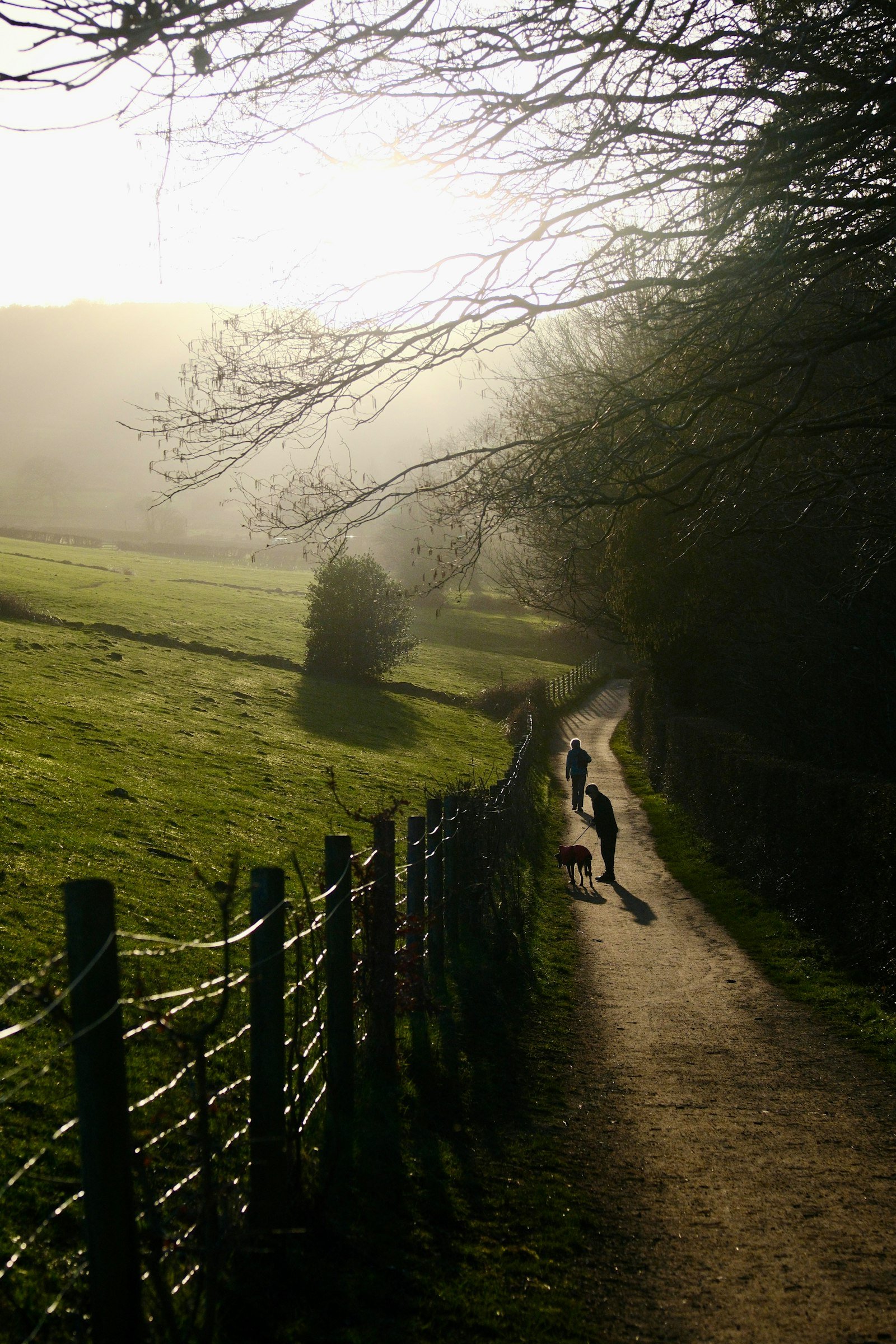 People walking a dog along a misty countryside path near a fence line, illustrating a local dog walk near Manchester